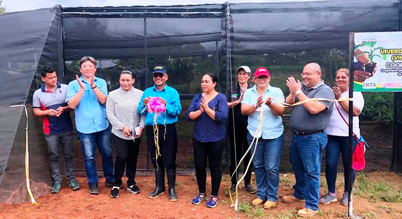 vivero-vitroplantas-el-rama-mision-tecnica-taiwan